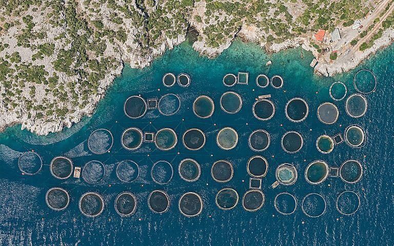 Granja de peces en Grecia. Bernhard Lang