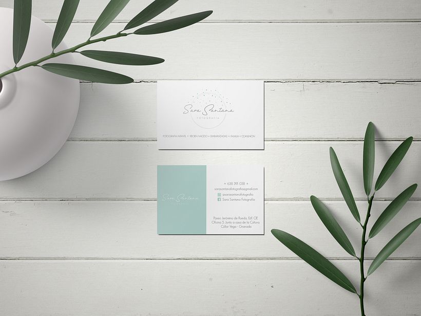 Identidad corporativa Sara Santana 2