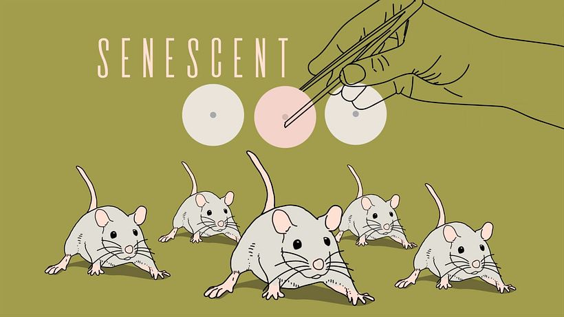 Ilustraciones para documental "Forever young" BBC UK - Ilustración tradicional