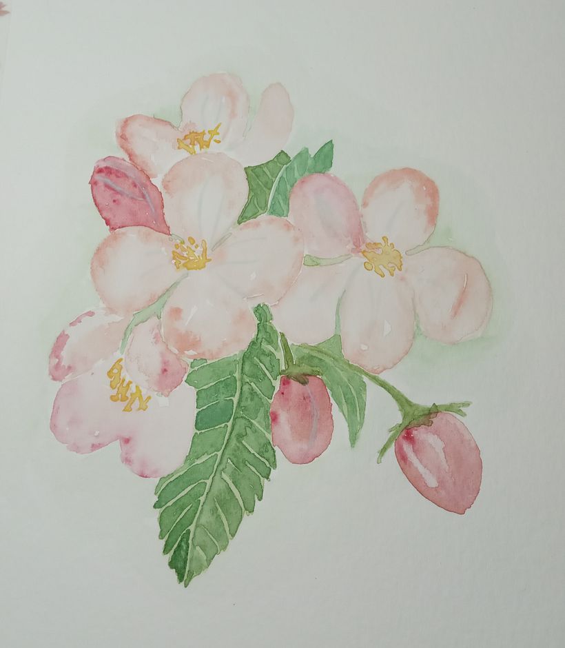 Paleta técnica. Copia de la muestra