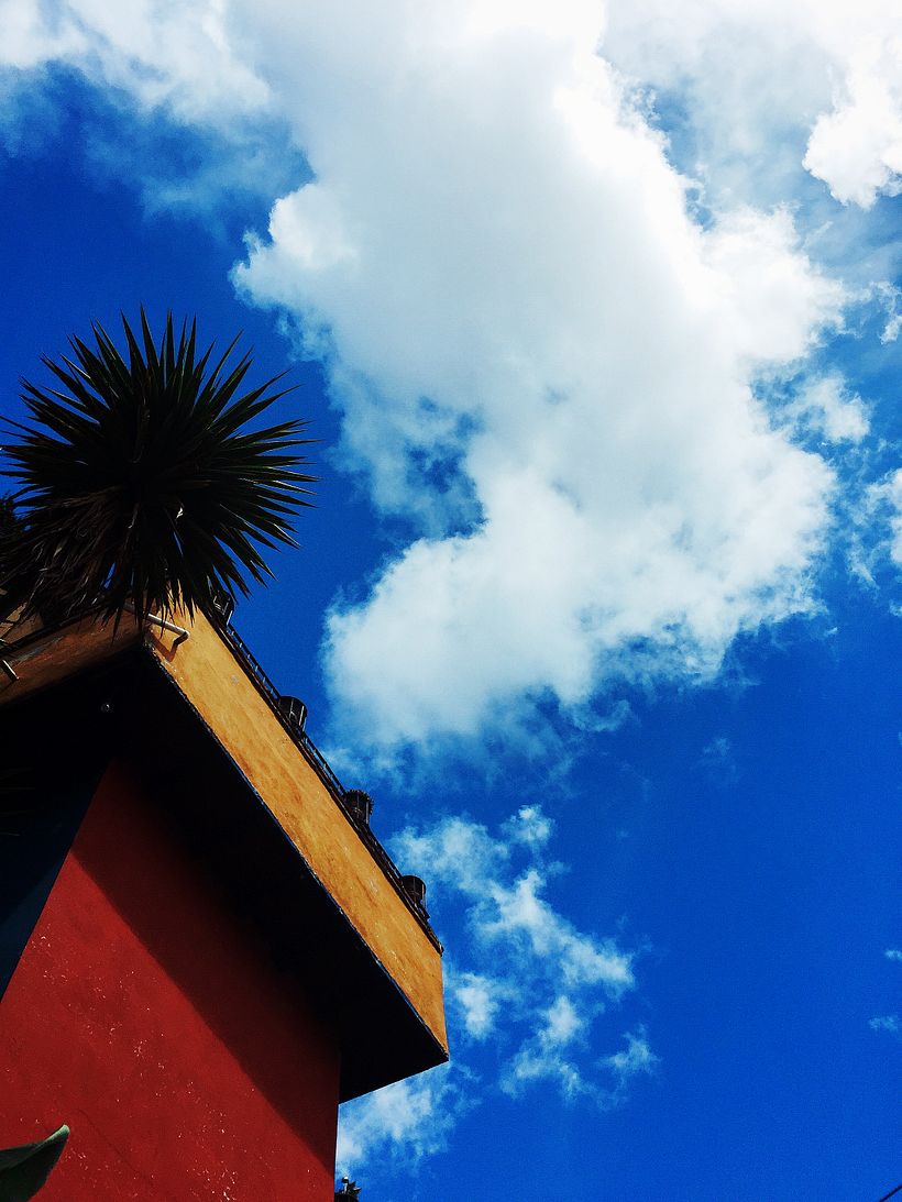 Querido Chiapas 3