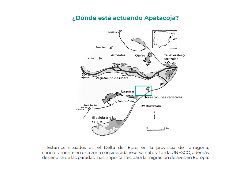 Apatacoja - Arquitectura