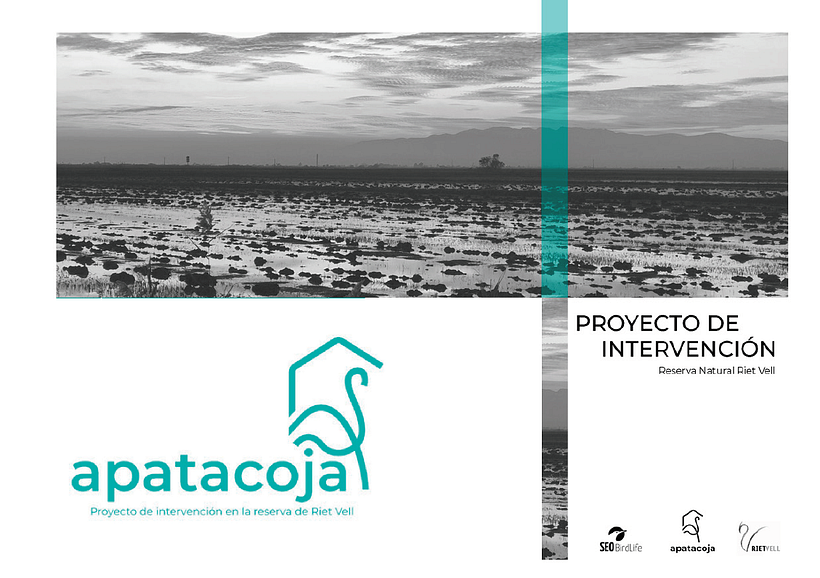 Apatacoja - Arquitectura