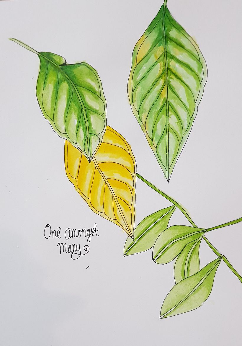 My project in From Amateur to Superillustrator course 5