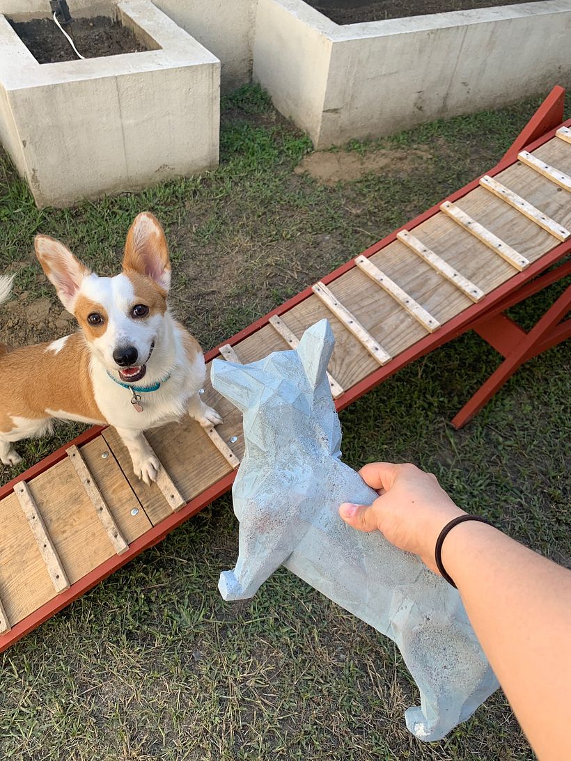 Proceso de lijado de corgis con asistente 