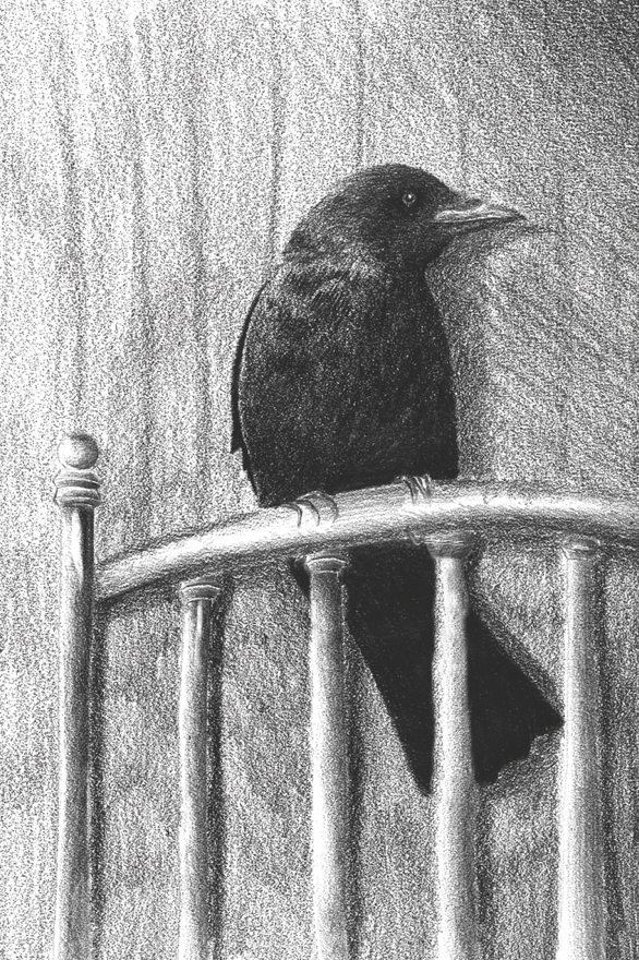 El Pájaro de Ébano  4