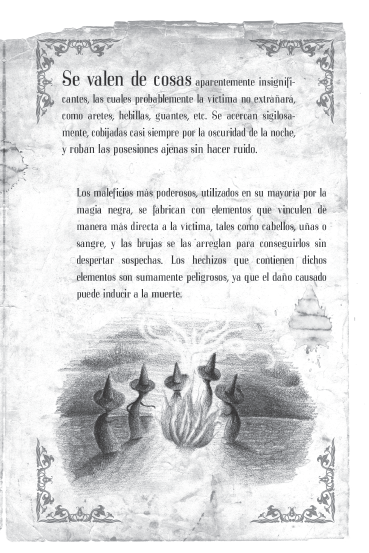 El Pájaro de Ébano  5
