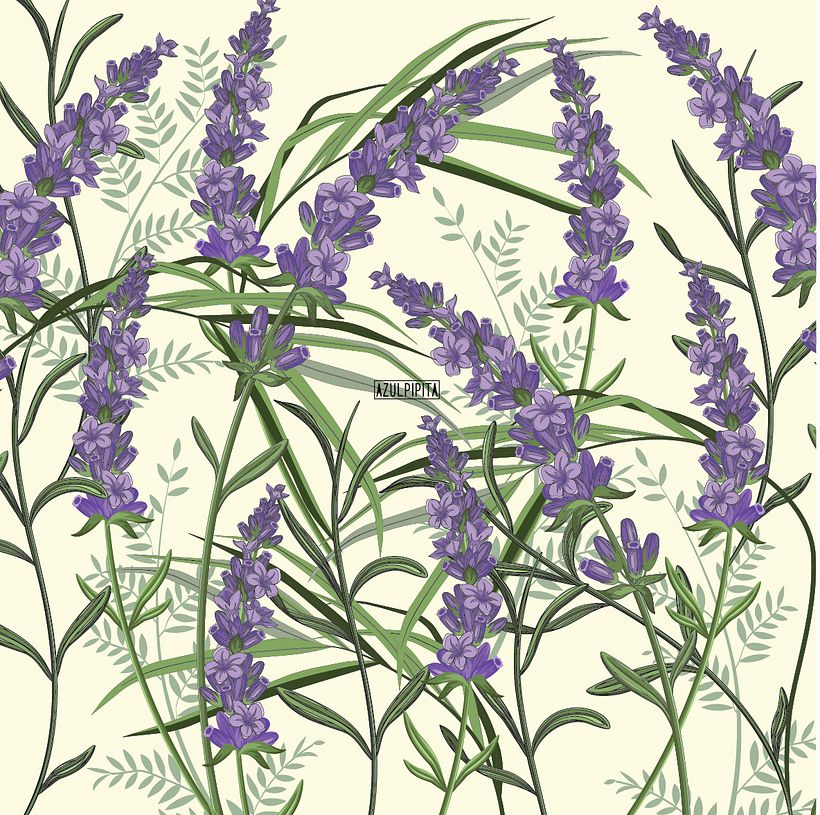 Ilustraciones Botanical / Pattern design / Ilustradora  3