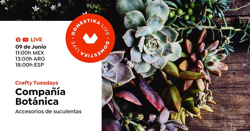 Accesorios de Suculentas en VIVO  - Crafty Tuesdays Domestika -1