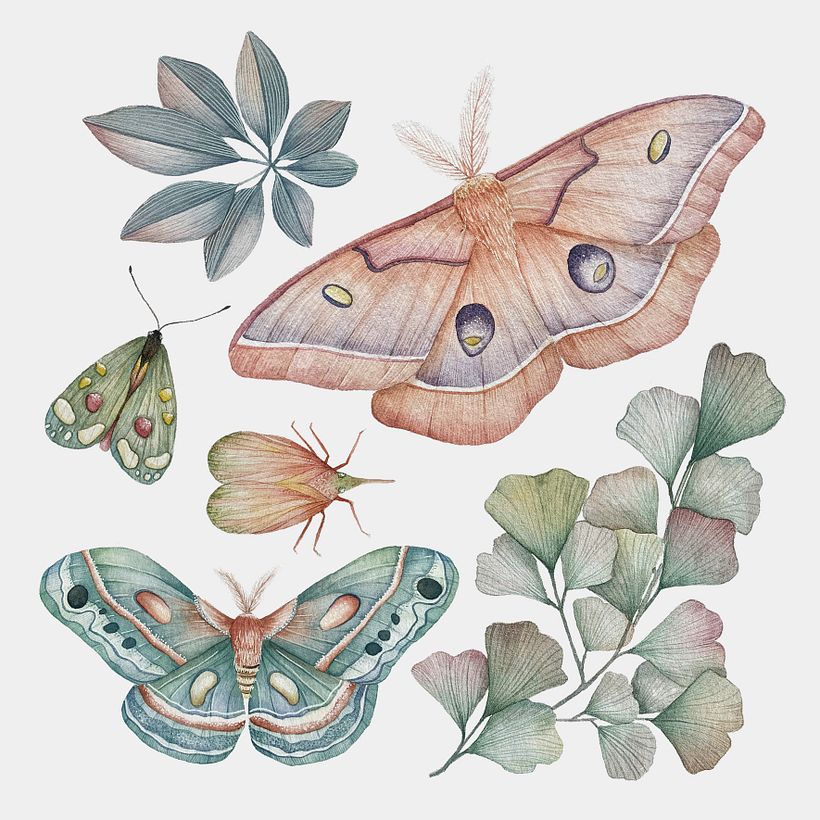 INSECTOS 0