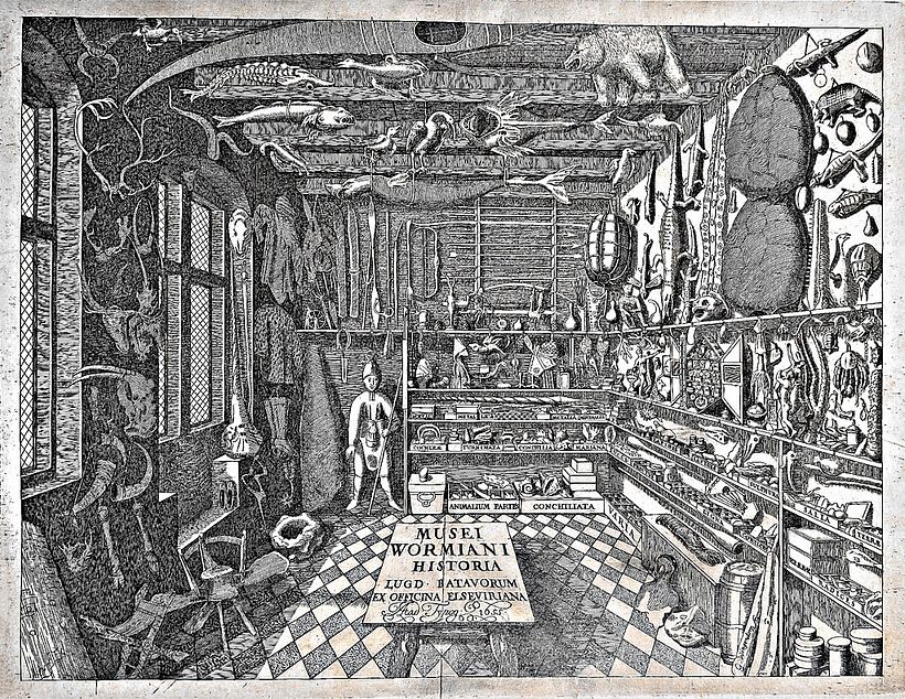 Así lucía el Museum Wormiamun, gabinete de las curiosidades del erudito danés Ole Worm