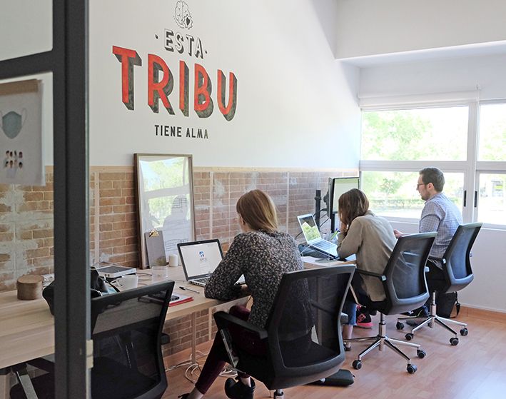 TRABAJANDO EN 13 MANOS