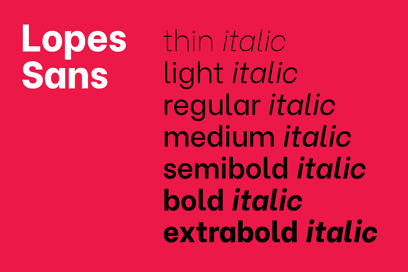 Brand and identity redesign for Lopes 3