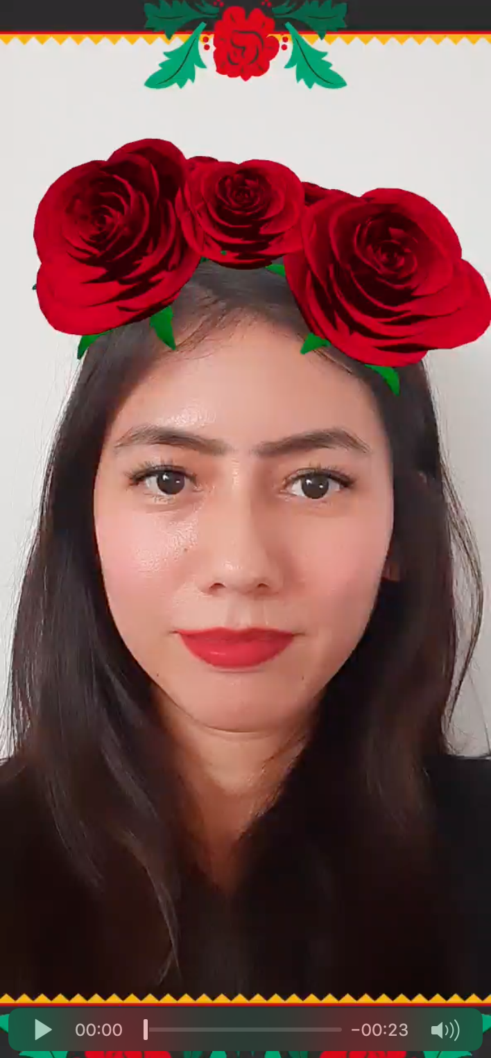 Frida Filter 0