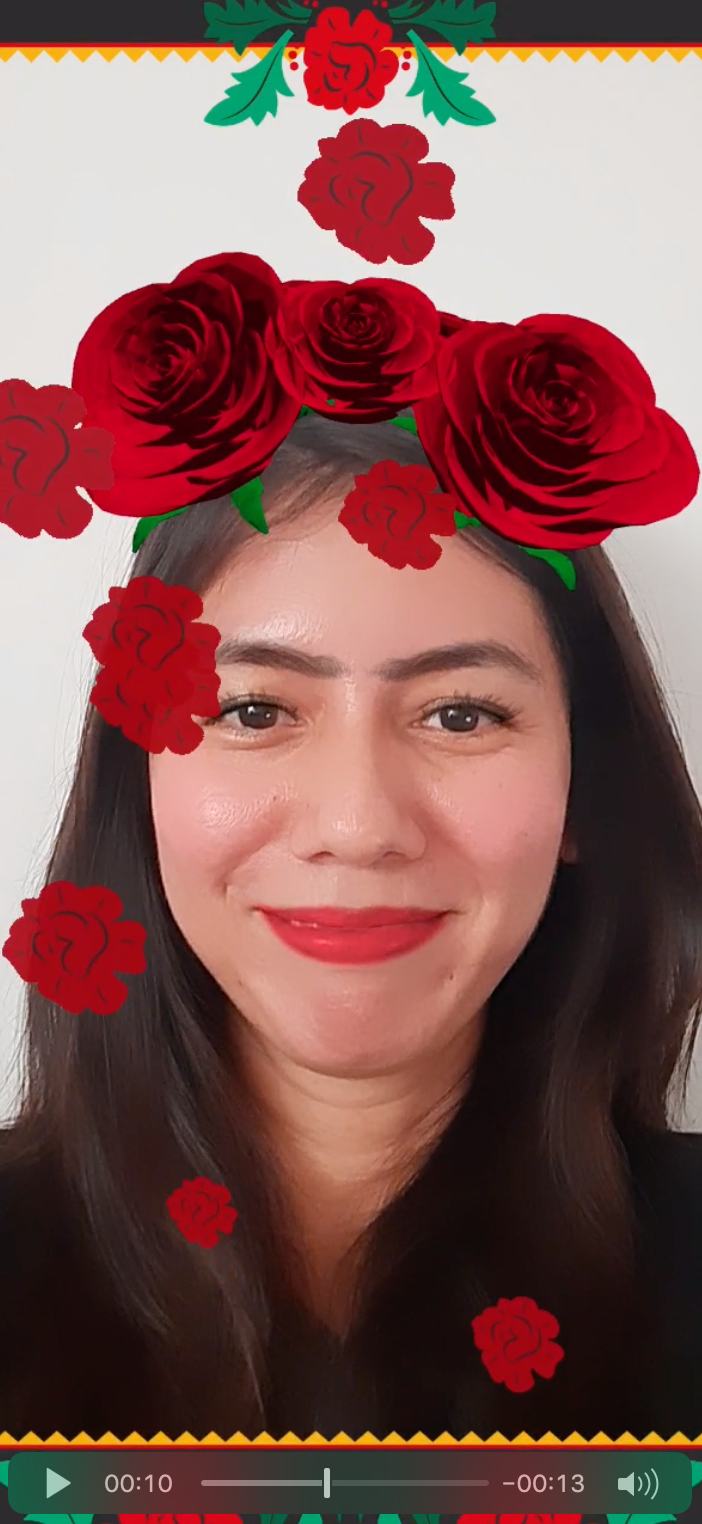 Frida Filter 1