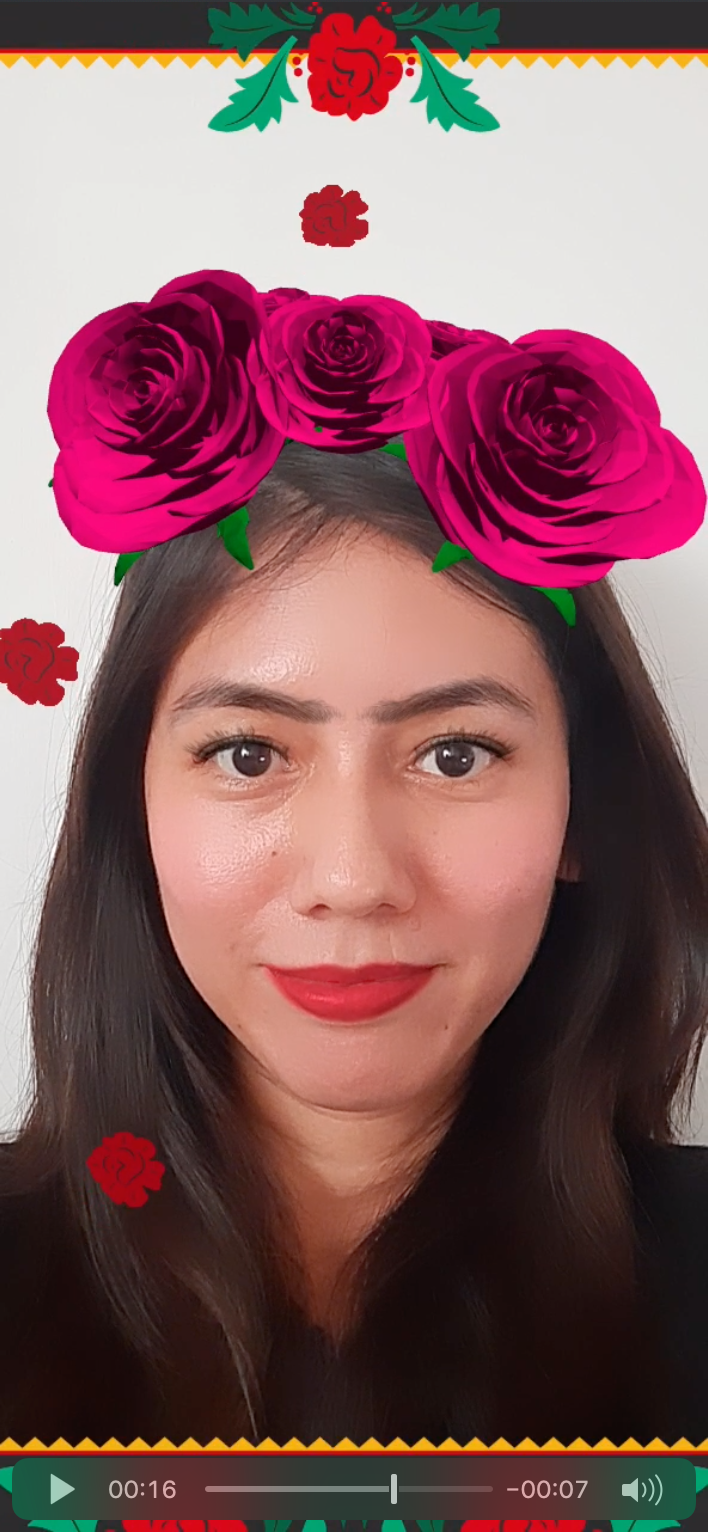 Frida Filter 2