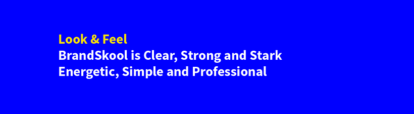 BrandSkool From Concept to Presentation 11