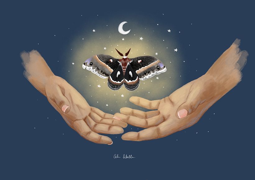 Primera ilustración con Procreate 0