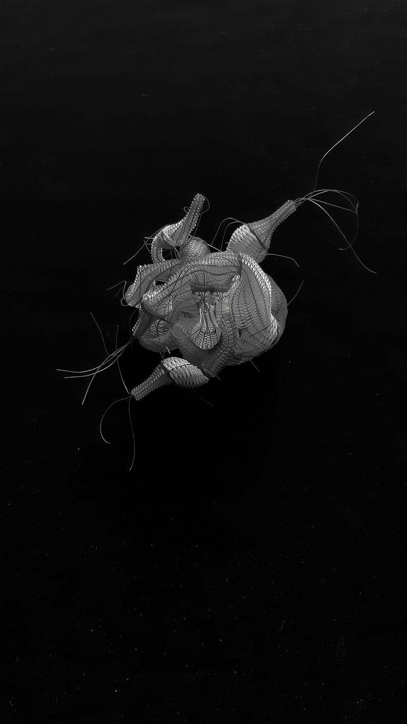 Parasitismo Existencial - Bestiario Joyería Contemporánea - Diseño