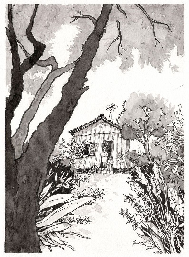 Ilustração -1