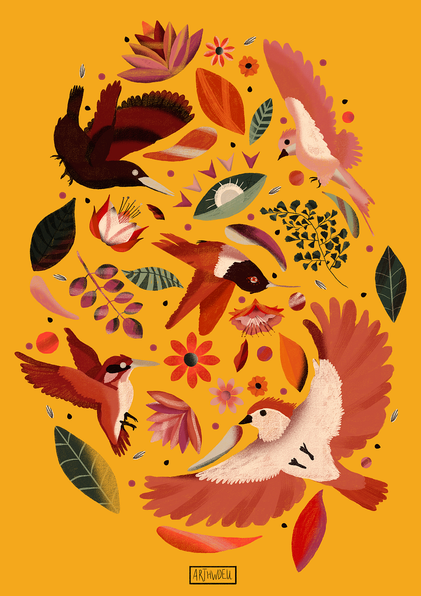 "Guerra de Pássaros"