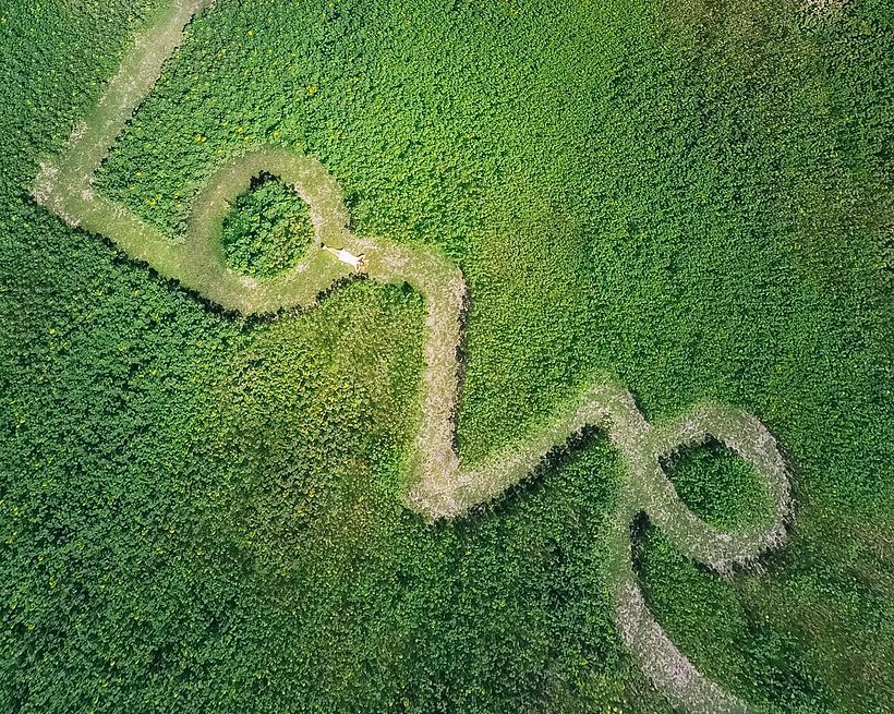 Sunflower field in Miami, United States. 2 Drone Gals