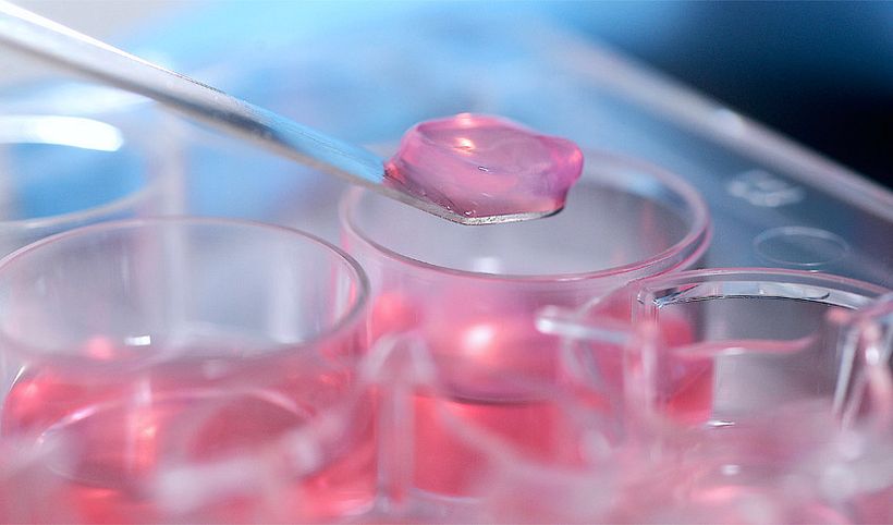 Pesquisadores anunciaram recentemente uma tinta biológica própria para imprimir partes (ou a totalidade) de órgãos humanos