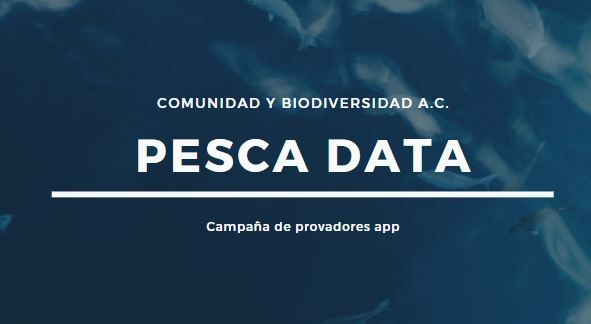 PescaDATA campaña digital 0