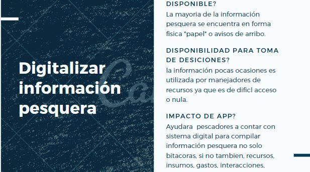 PescaDATA campaña digital 1
