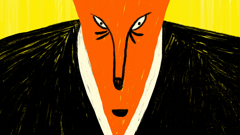 ZORRO DE OFICINA 5