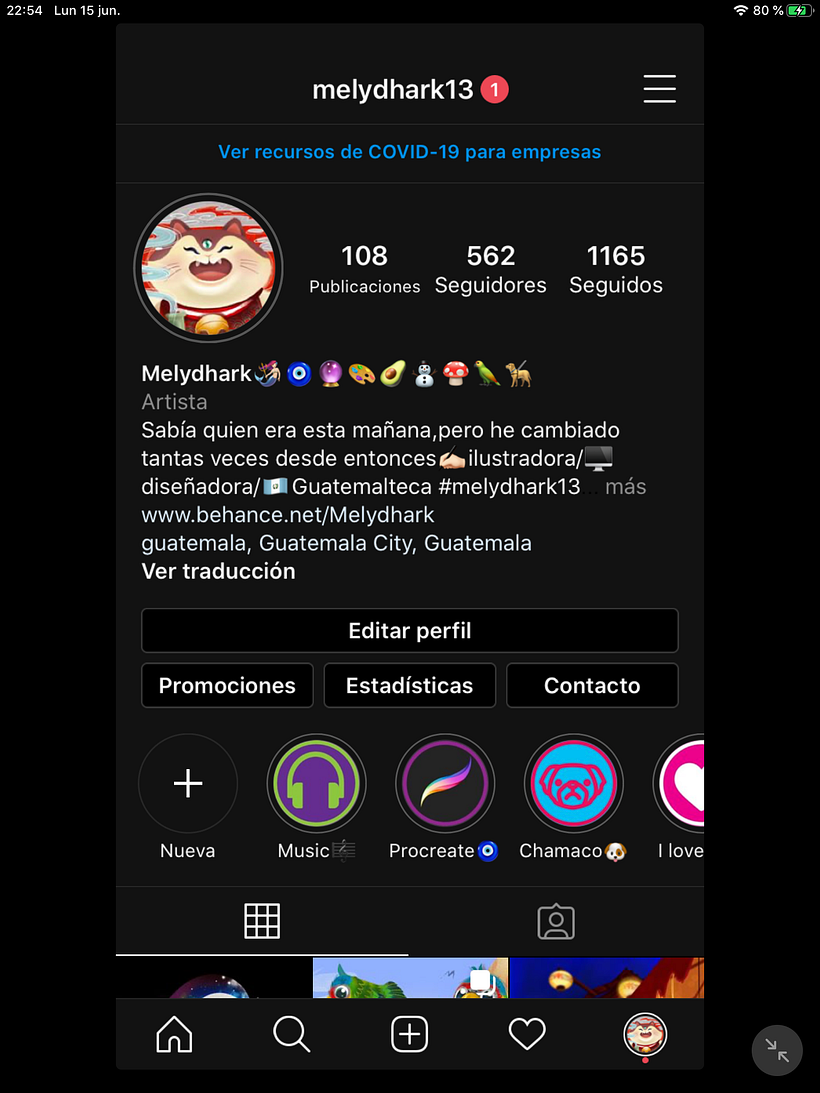 Mi Proyecto del curso: Creación de un porfolio de ilustración en Instagram 5