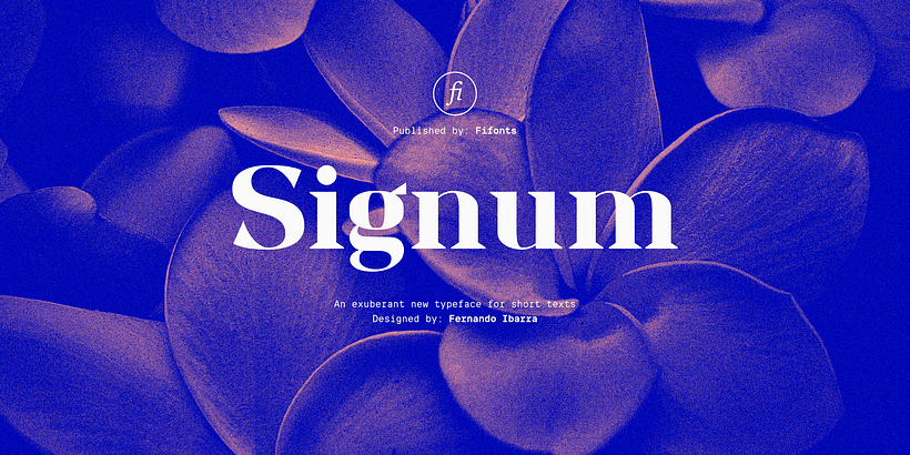 Signum is an amateur lettering system designed from the modules provided in the Latinotype course. Thank you.