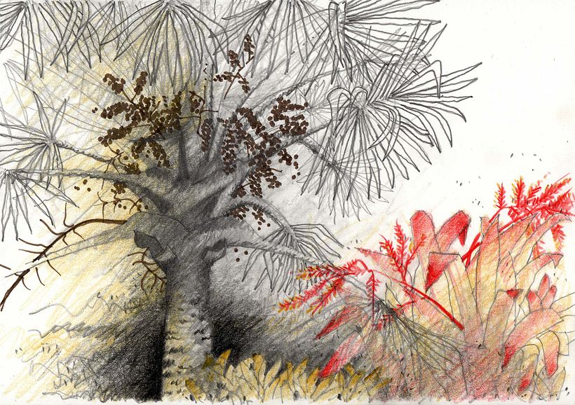 URBAN SKETCHES 2020/1 2