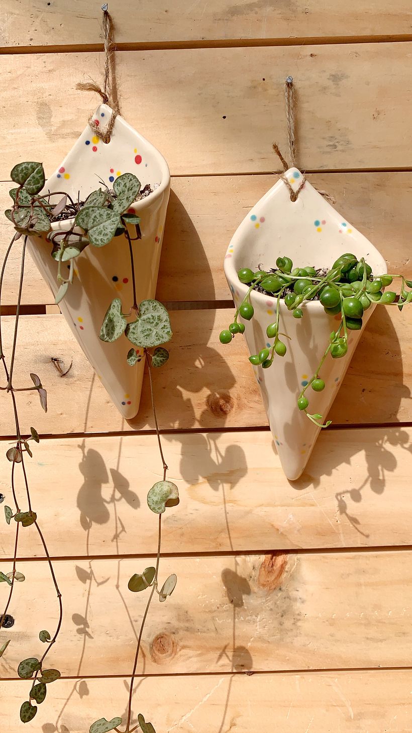 Barquillos terminados Polka Dots con Ceropegia Woodii y Senecio Rowleyanus