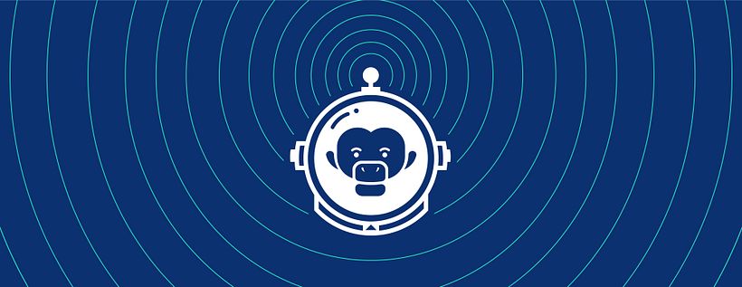 mono cromático identidad de marca 5