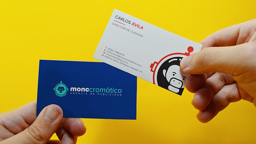 mono cromático identidad de marca 12