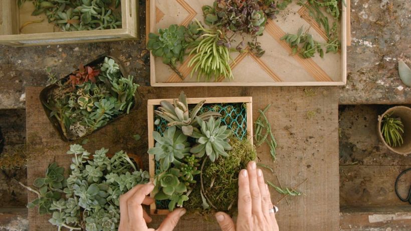 Botanical Design Tutorial: How to Design Frames with Succulents 9