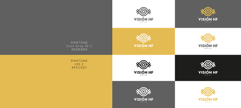 Visión HF México 4