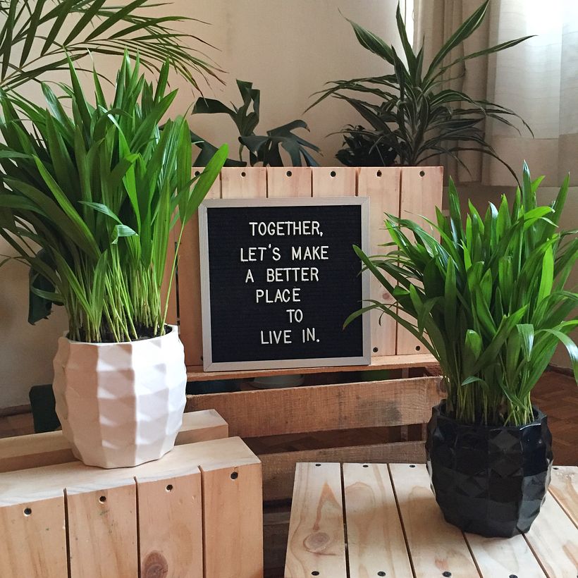 Piñas con Palma Areca en negro y mayólica