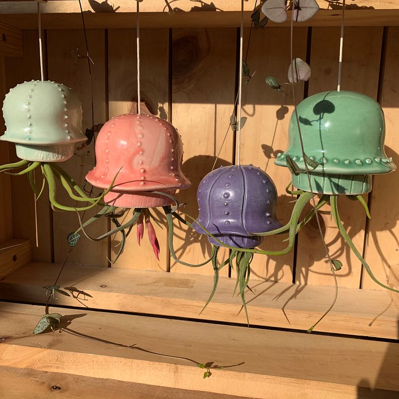 Medusas terminadas en azul cielo, rosa bombón, malva y celadon con plantas de aire