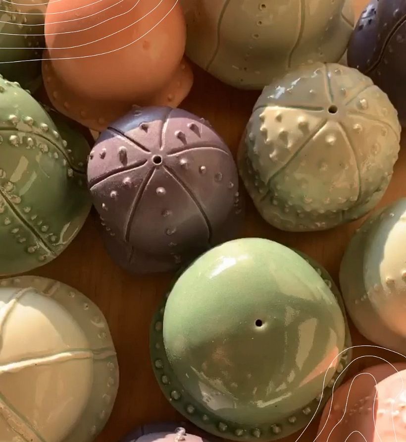 Medusas salidas de esmalte