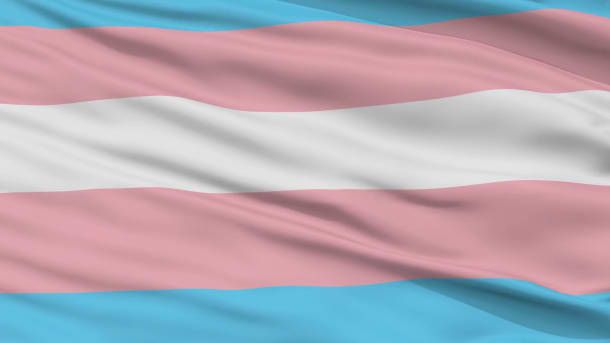 A ativista transgênero Monica Helms criou esta bandeira em 1999