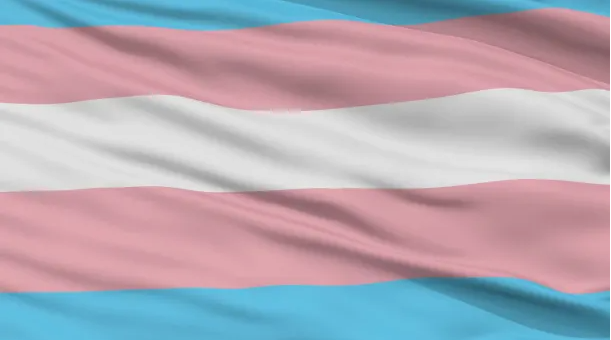 What are the origins of the different LGBTQ+ symbols? 14