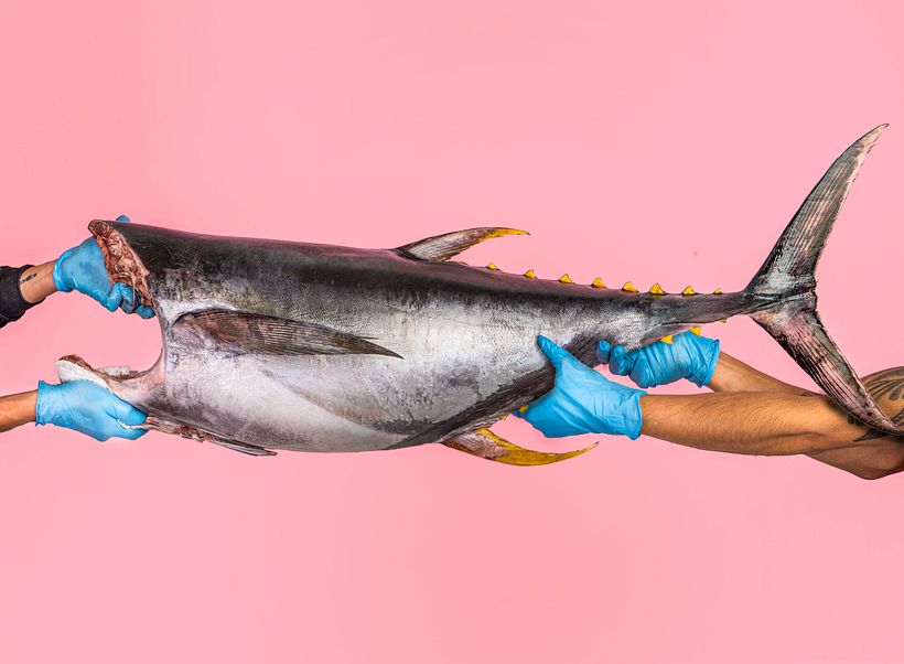 MUCHO COLOMBIA (Pescar Artesanal) 1