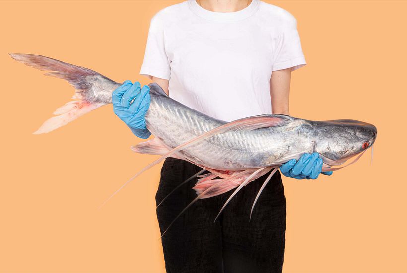 MUCHO COLOMBIA (Pescar Artesanal) 2