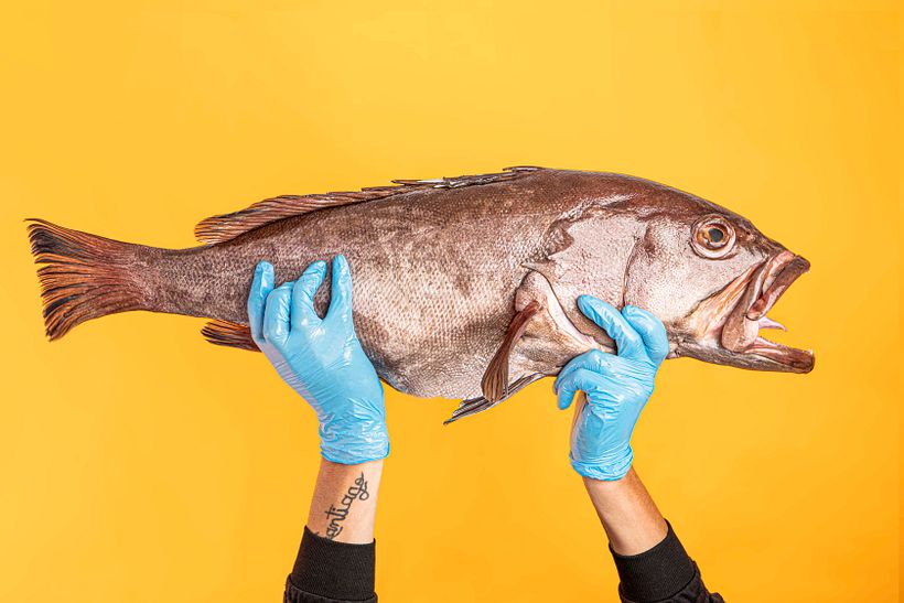 MUCHO COLOMBIA (Pescar Artesanal) 3