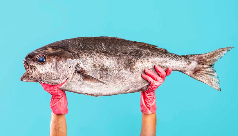 MUCHO COLOMBIA (Pescar Artesanal) 5