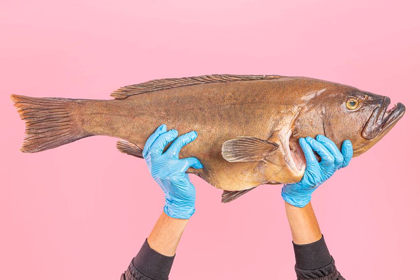 MUCHO COLOMBIA (Pescar Artesanal) 4