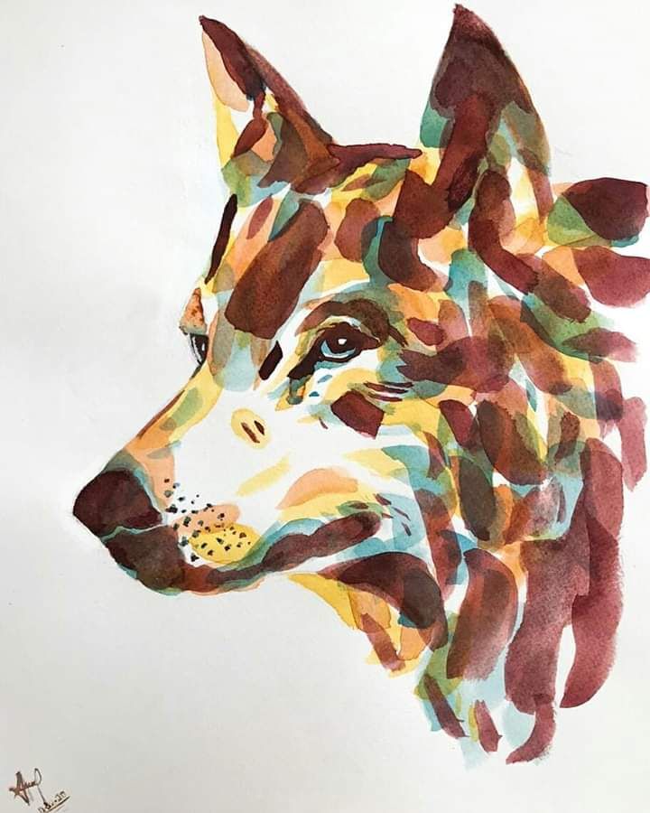 Wolf  1