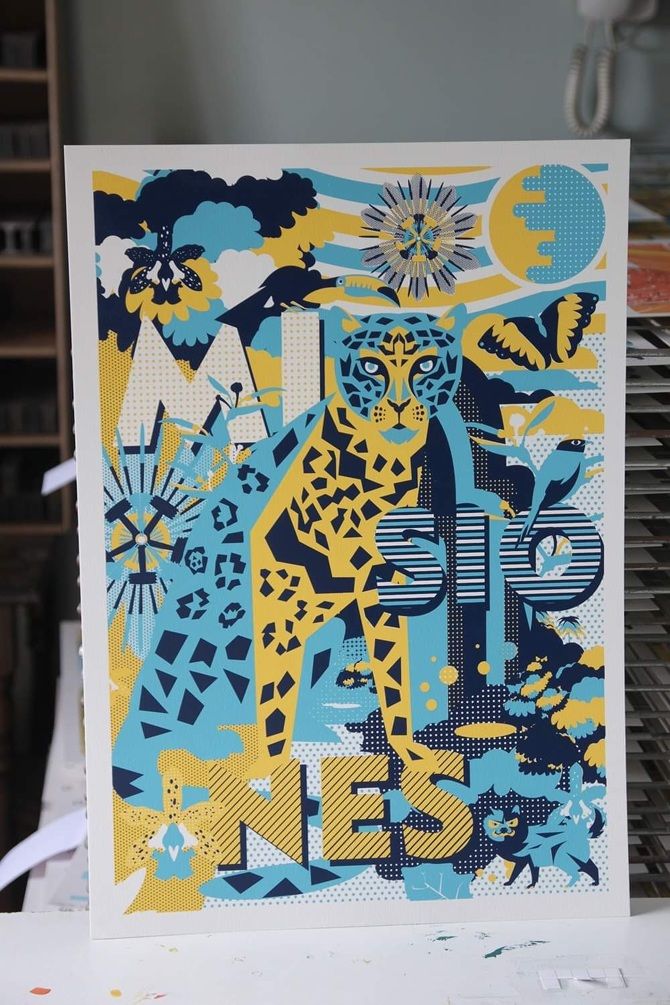 Selva misionera Poster 0